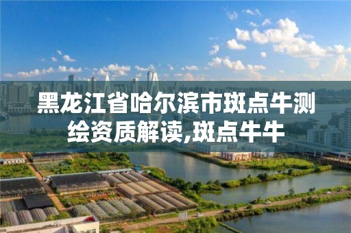 黑龍江省哈爾濱市斑點牛測繪資質解讀,斑點牛牛