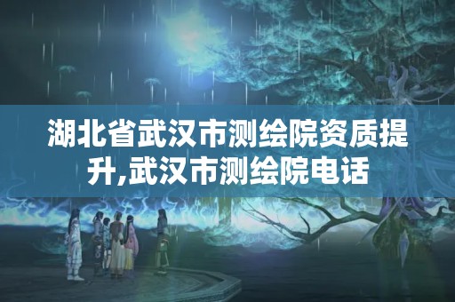 湖北省武漢市測繪院資質提升,武漢市測繪院電話