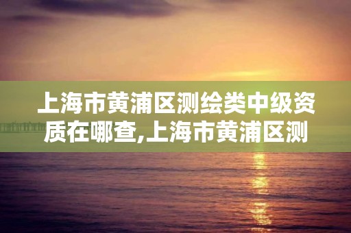 上海市黃浦區測繪類中級資質在哪查,上海市黃浦區測繪類中級資質在哪查到