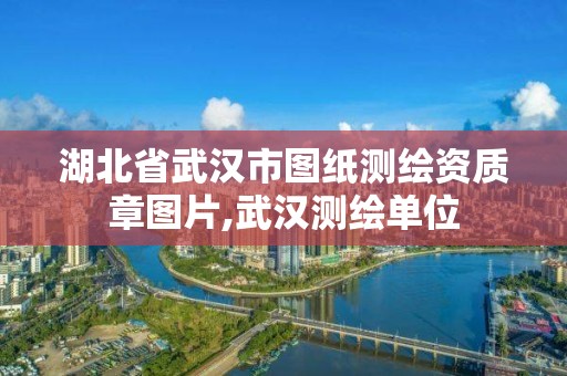 湖北省武漢市圖紙測繪資質章圖片,武漢測繪單位