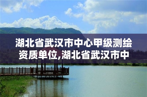 湖北省武漢市中心甲級測繪資質單位,湖北省武漢市中心甲級測繪資質單位有幾家