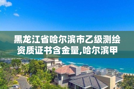 黑龍江省哈爾濱市乙級測繪資質證書含金量,哈爾濱甲級測繪公司