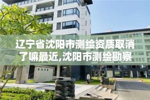 遼寧省沈陽市測繪資質取消了嘛最近,沈陽市測繪勘察研究院