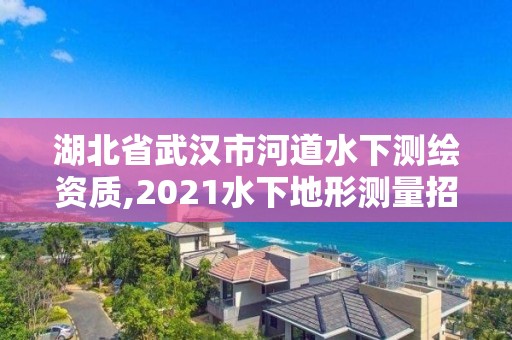 湖北省武漢市河道水下測繪資質(zhì),2021水下地形測量招標(biāo)