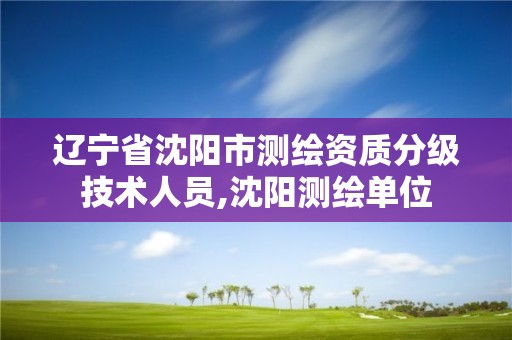 遼寧省沈陽市測繪資質分級技術人員,沈陽測繪單位