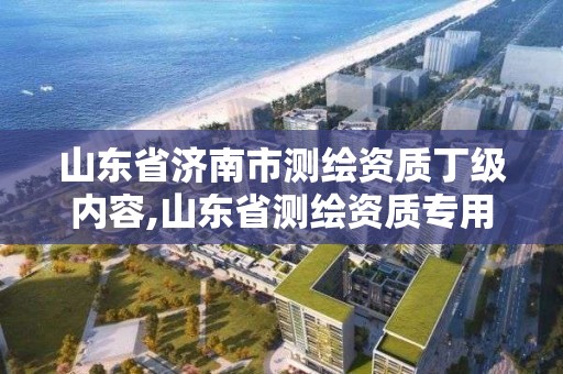 山東省濟南市測繪資質丁級內容,山東省測繪資質專用章 丁級