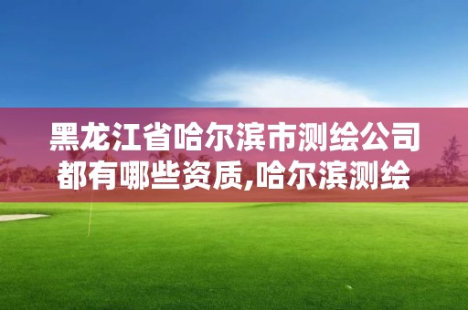 黑龍江省哈爾濱市測繪公司都有哪些資質,哈爾濱測繪內業招聘信息