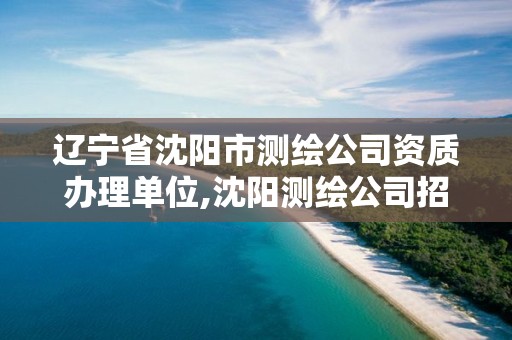 遼寧省沈陽市測繪公司資質辦理單位,沈陽測繪公司招聘信息最新招聘