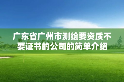 廣東省廣州市測繪要資質不要證書的公司的簡單介紹