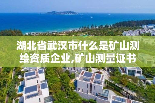 湖北省武漢市什么是礦山測繪資質企業,礦山測量證書