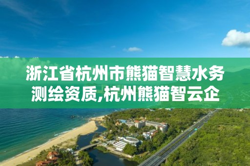 浙江省杭州市熊貓智慧水務測繪資質,杭州熊貓智云企業服務有限公司