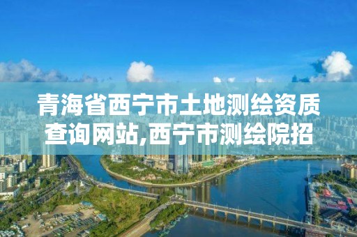 青海省西寧市土地測繪資質查詢網站,西寧市測繪院招聘公示