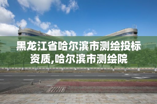 黑龍江省哈爾濱市測(cè)繪投標(biāo)資質(zhì),哈爾濱市測(cè)繪院