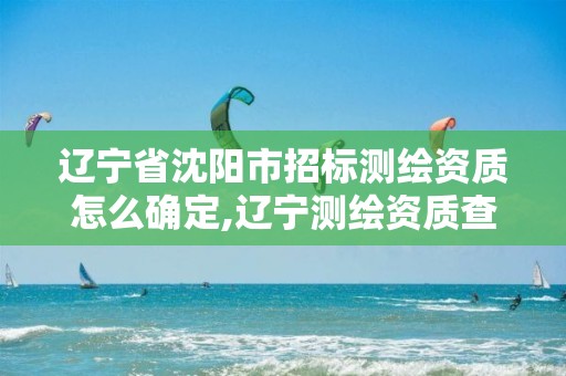 遼寧省沈陽市招標(biāo)測繪資質(zhì)怎么確定,遼寧測繪資質(zhì)查詢