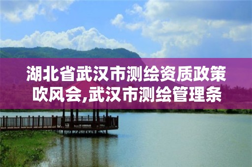 湖北省武漢市測繪資質(zhì)政策吹風(fēng)會,武漢市測繪管理條例