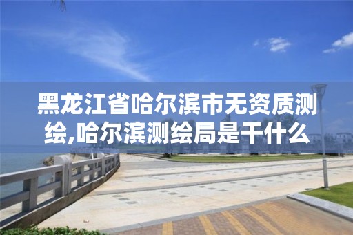 黑龍江省哈爾濱市無資質測繪,哈爾濱測繪局是干什么的