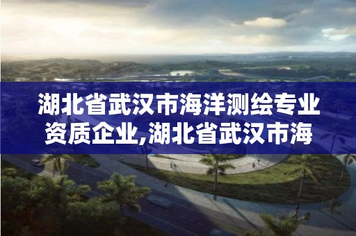 湖北省武漢市海洋測繪專業(yè)資質(zhì)企業(yè),湖北省武漢市海洋測繪專業(yè)資質(zhì)企業(yè)有哪些