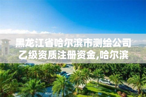 黑龍江省哈爾濱市測繪公司乙級資質注冊資金,哈爾濱測繪局是干什么的。