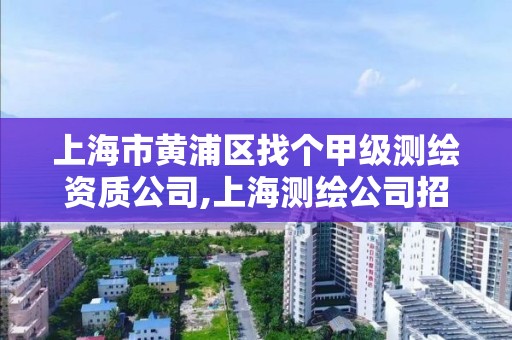 上海市黃浦區找個甲級測繪資質公司,上海測繪公司招聘