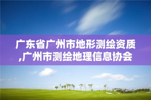 廣東省廣州市地形測繪資質,廣州市測繪地理信息協會