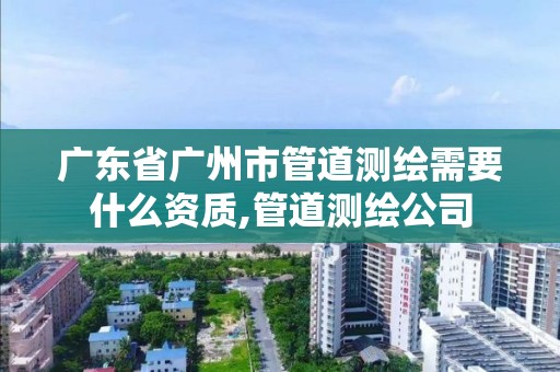 廣東省廣州市管道測繪需要什么資質,管道測繪公司