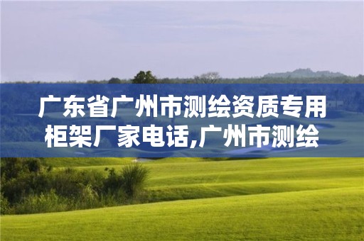 廣東省廣州市測繪資質專用柜架廠家電話,廣州市測繪產品質量檢驗中心。