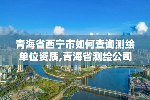 青海省西寧市如何查詢測繪單位資質,青海省測繪公司