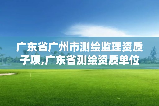 廣東省廣州市測繪監理資質子項,廣東省測繪資質單位名單