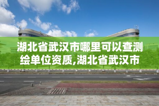 湖北省武漢市哪里可以查測繪單位資質,湖北省武漢市哪里可以查測繪單位資質