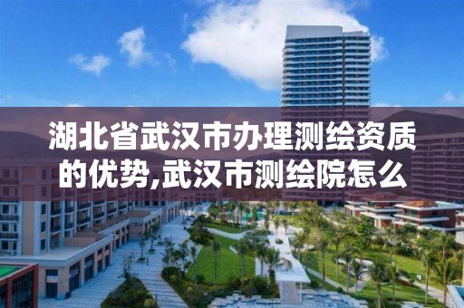 湖北省武漢市辦理測繪資質的優勢,武漢市測繪院怎么樣