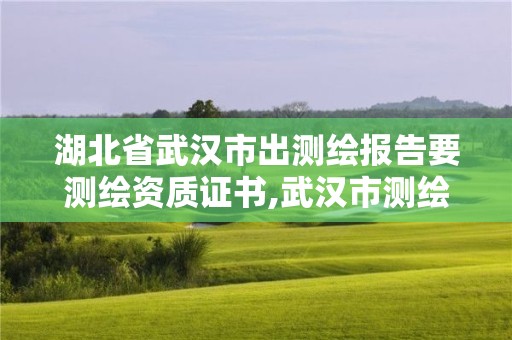 湖北省武漢市出測(cè)繪報(bào)告要測(cè)繪資質(zhì)證書(shū),武漢市測(cè)繪工程技術(shù)規(guī)定