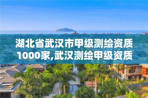 湖北省武漢市甲級測繪資質1000家,武漢測繪甲級資質公司