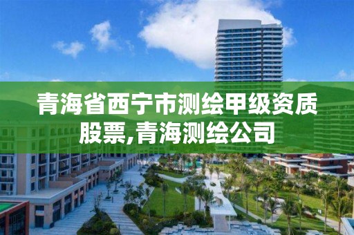 青海省西寧市測繪甲級資質股票,青海測繪公司