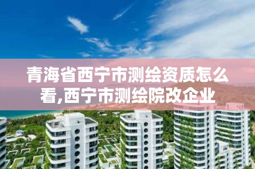 青海省西寧市測繪資質怎么看,西寧市測繪院改企業