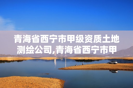 青海省西寧市甲級資質土地測繪公司,青海省西寧市甲級資質土地測繪公司名單