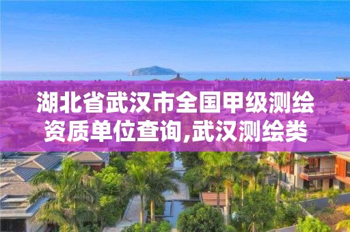 湖北省武漢市全國甲級測繪資質單位查詢,武漢測繪類公司