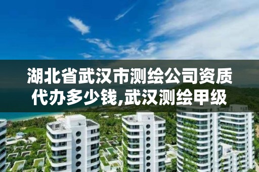 湖北省武漢市測繪公司資質代辦多少錢,武漢測繪甲級資質公司。