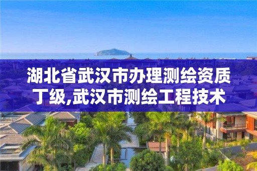 湖北省武漢市辦理測繪資質丁級,武漢市測繪工程技術規定