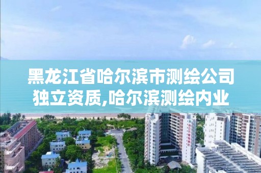 黑龍江省哈爾濱市測繪公司獨立資質,哈爾濱測繪內業招聘信息