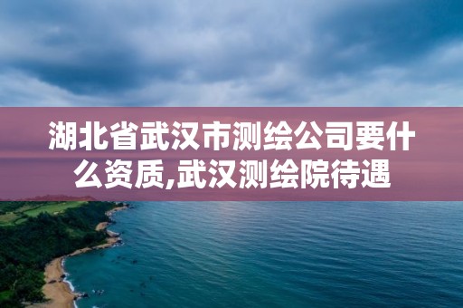 湖北省武漢市測繪公司要什么資質,武漢測繪院待遇