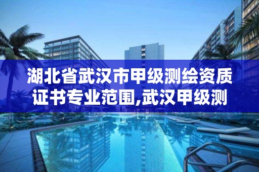 湖北省武漢市甲級測繪資質證書專業范圍,武漢甲級測繪資質名錄。