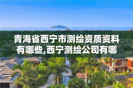 青海省西寧市測繪資質資料有哪些,西寧測繪公司有哪些