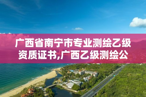 廣西省南寧市專業測繪乙級資質證書,廣西乙級測繪公司名單