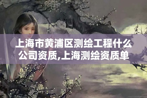 上海市黃浦區(qū)測繪工程什么公司資質(zhì),上海測繪資質(zhì)單位