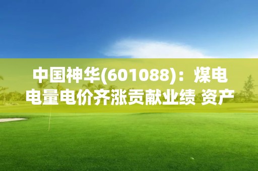 中國神華(601088)：煤電電量電價齊漲貢獻業績 資產注入開啟外延增長