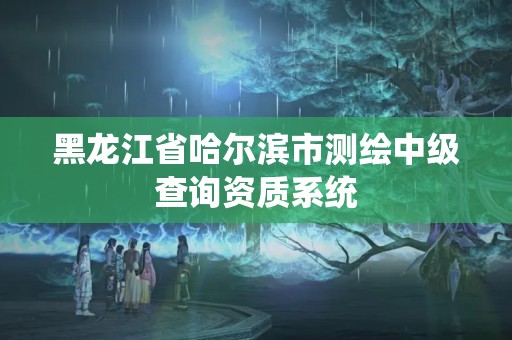 黑龍江省哈爾濱市測繪中級查詢資質系統