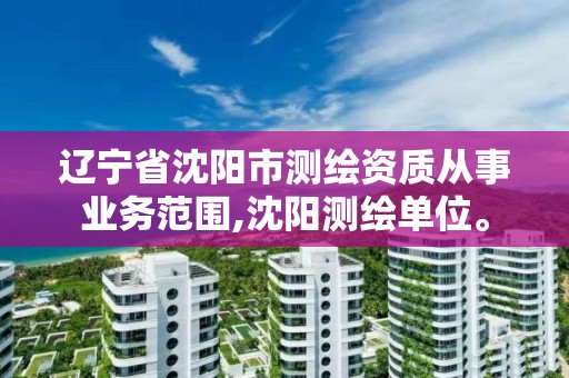 遼寧省沈陽市測繪資質從事業務范圍,沈陽測繪單位。