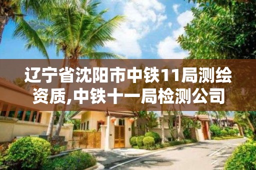 遼寧省沈陽市中鐵11局測繪資質,中鐵十一局檢測公司