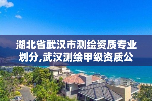 湖北省武漢市測繪資質專業劃分,武漢測繪甲級資質公司