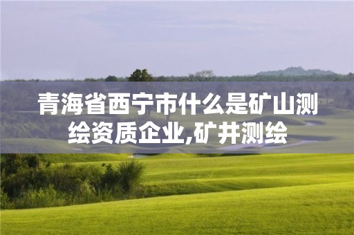 青海省西寧市什么是礦山測繪資質(zhì)企業(yè),礦井測繪